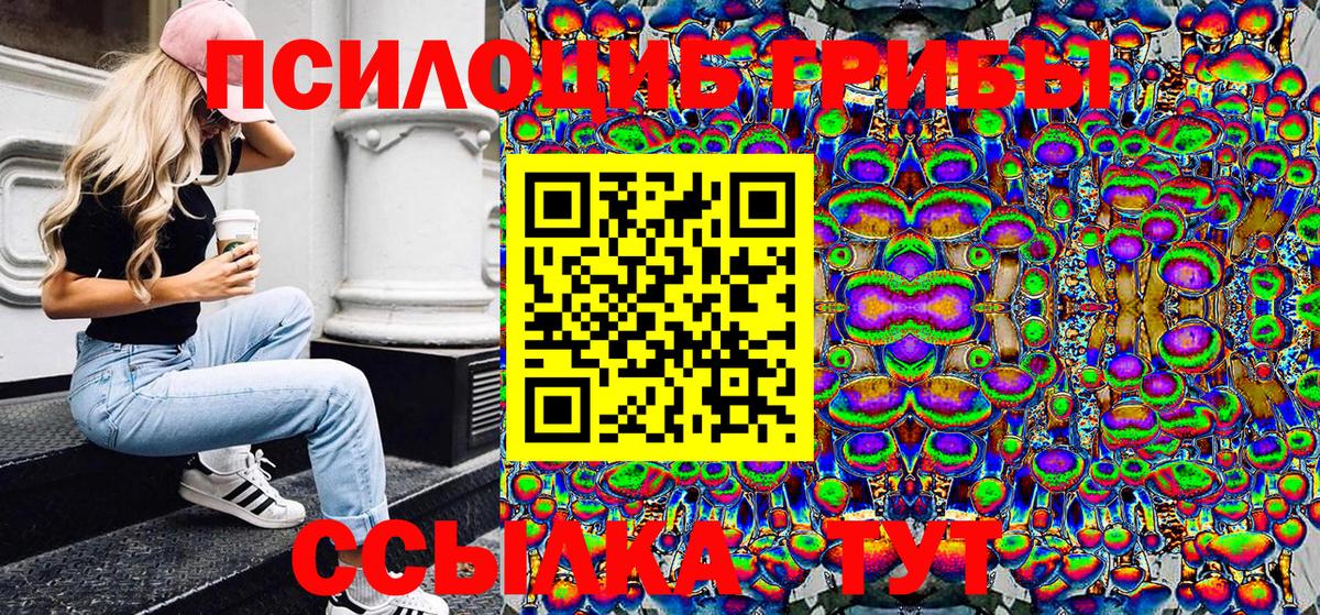 Рязань  Галлюциногенные грибы мицелий  Вход с VPN 