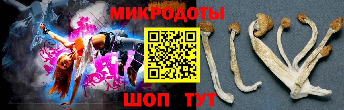 Галлюциногенные грибы Cubensis Рязань
